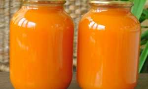 Сок из тыквы на зиму. Рецепты сока из тыквы с мякотью и добавками: лимоном, морковью, апельсином, клюквой