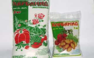 Мочевина, как удобрение. Способы применения и дозировки
