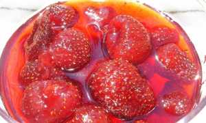 Варенье в мультиварке редмонд: рецепты. Малиновое варенье: как приготовить в мультиварке?