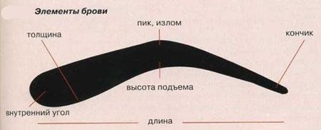 Как выщипывать брови правильно?